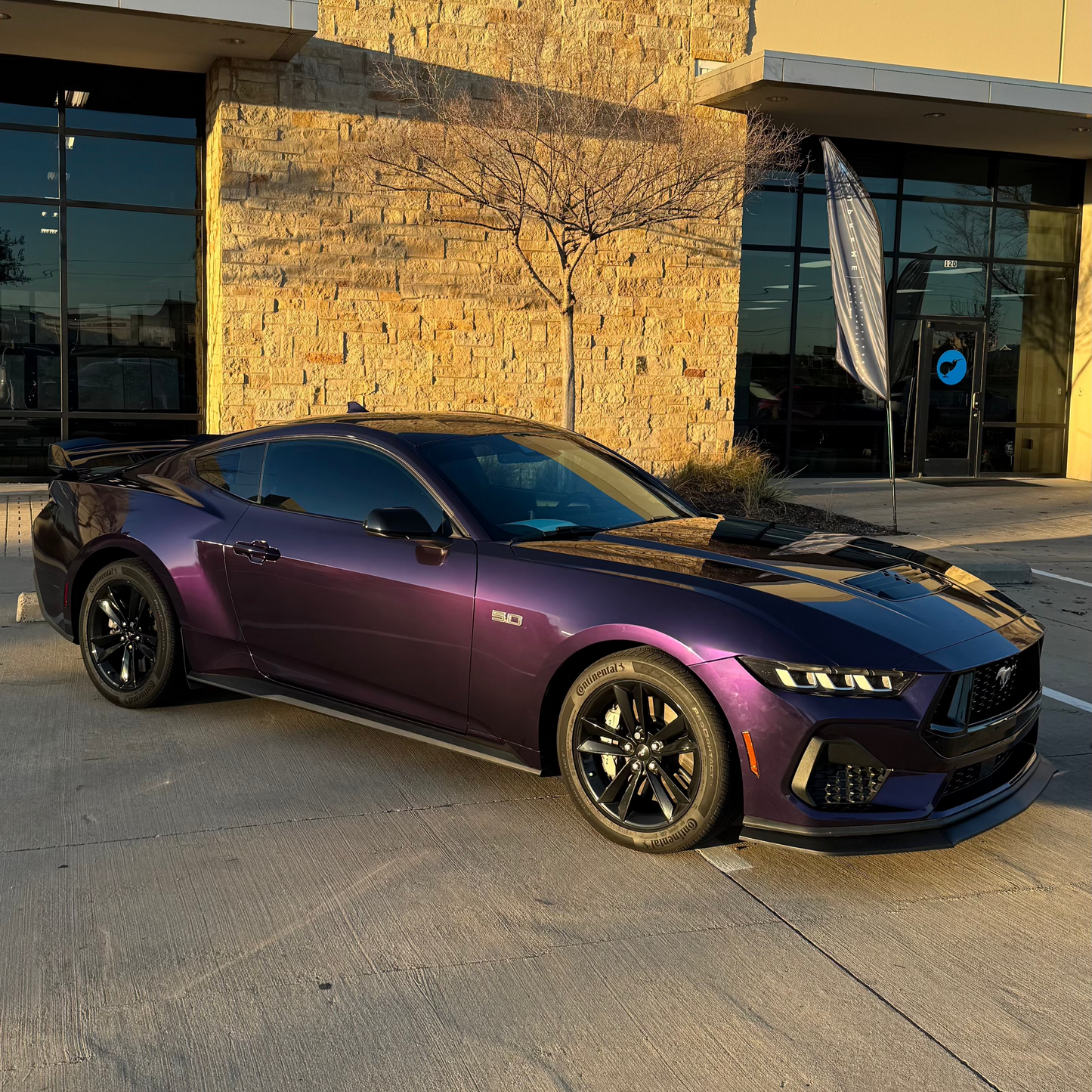 Metallic Midnight Purple